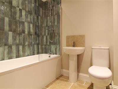 Picture 7
